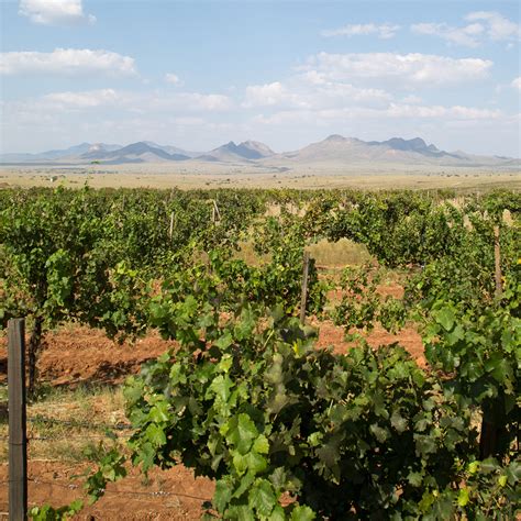 Sonoita Vineyards | Arizona Wine