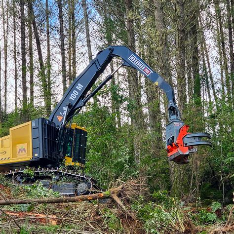 Tree Felling DFH1350 – Woodsman Pro