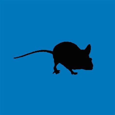 The Natural History of Model Organisms: Peromyscus mice as a model for ...