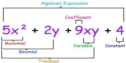 Algebraic Expression - Assignment Point