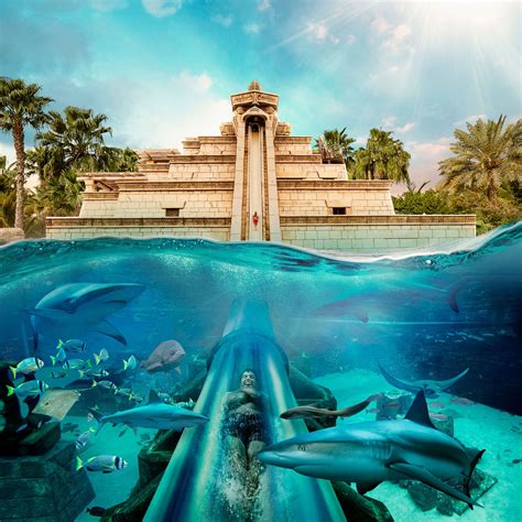 Atlantis The Palm, Dubai - Fairy Tale Palace Of The Lost City With The ...