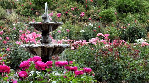 International Rose Test Garden : Visites Parfum local & voisinage - le ...