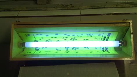 Insect Light Trap With Replacement Boards at Rs 3600/unit | RK Puram ...