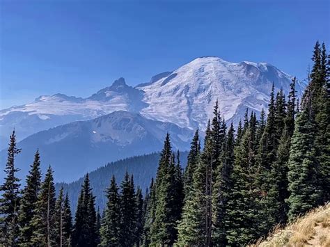 Sunrise at Mount Rainier National Park, A Must See! – Never Stop ...