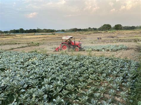 Organic Farm – Lumbini Five Elements