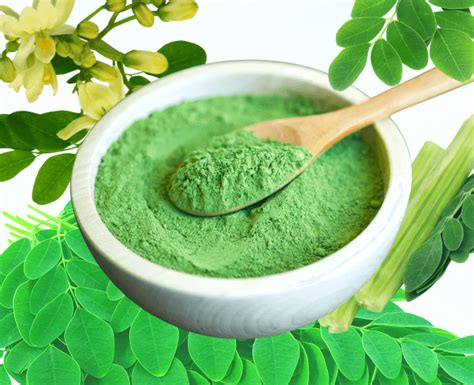 How Much Moringa Powder Is Safe Per Day? - Herbs & Herbal Remedies