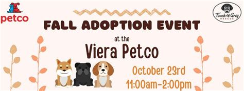 Fall Adoption Event | Petco (Melbourne), Satellite Beach, FL | October ...