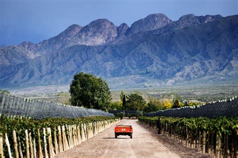 Mendoza wine country. Argentina. (Photo: andrearuggeri.it) | Summer ...