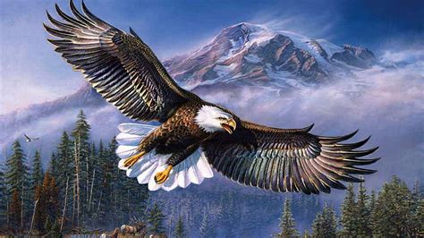 Bald Eagle in Flight, wings, mountains, eagle, birds, nature, trees ...