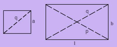 Diagonal Formula (Square, Rectangle & Parallelogram)