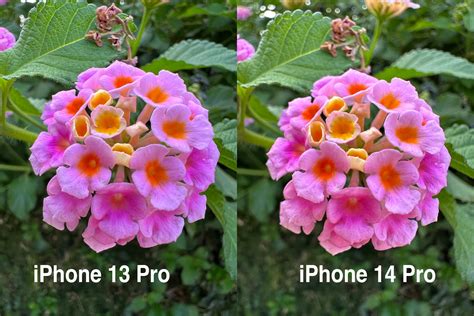 Review of Apple’s iPhone 14 and iPhone 14 Pro: They’re leaning into it ...