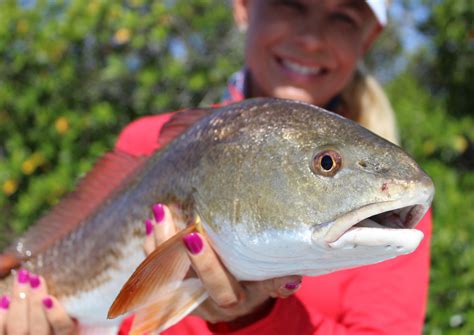 What You Need to Know About Fishing in the Everglades - ACR Electronics ...