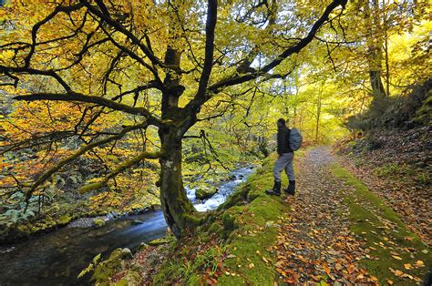 Asturias: discovering the green heart of Spain