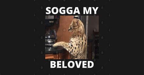 Sogga My Beloved Serval Meme Cat Meme - Sogga My Beloved - Sticker ...