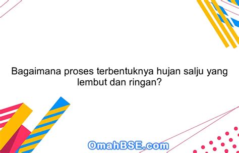 Bagaimana proses terbentuknya hujan salju yang lembut dan ringan? - OmahBSE