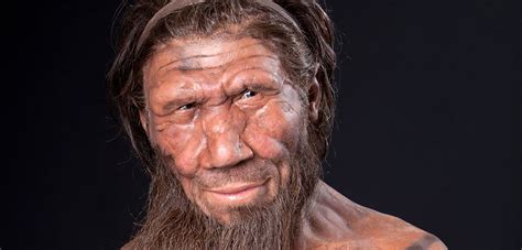 Neanderthals' distinctive face shape explained | Natural History Museum