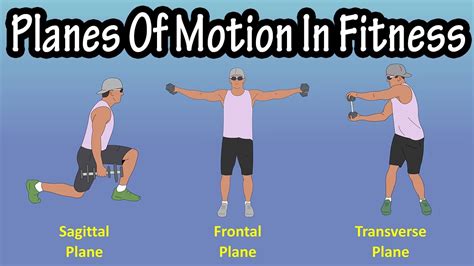 Importance Of The Planes Of Motion (Sagittal Plane, Frontal Plane ...