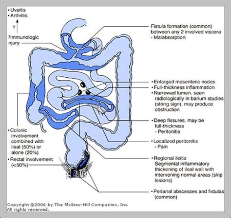 Anatomy System - Human Body Anatomy diagram and chart images | Human ...