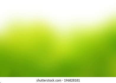 White Green Gradient Abstract Background Stock Illustration 196828181 ...