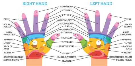 The Power of Hand Massage: Benefits, Techniques, and Tips for Self-Care ...