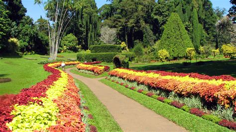 The Royal Botanical Gardens - Attractions in Kandy - The Radh, Kandy