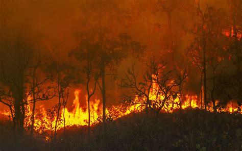 Les fumées toxiques des méga-incendies dans le monde vus par la Nasa