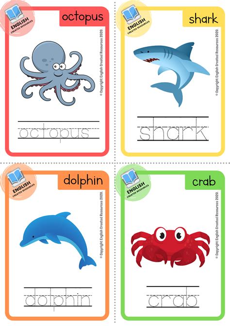 Sea Animals Flashcards