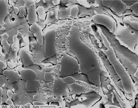 Crystal morphology at the center of the sample treated at 1000 oC ...