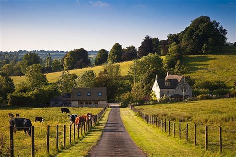 The Top 20 Agricultural Products Of The United Kingdom - WorldAtlas.com