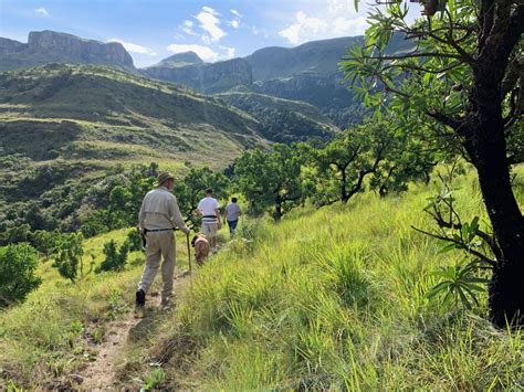 Drakensberg Hiking, Trekking & Trails | The Cavern