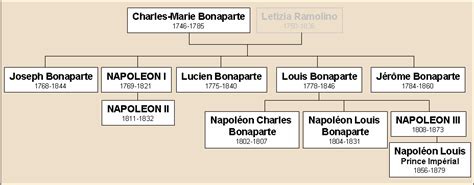 The Napoleon DNA project