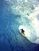 Mark Foo Biography and Photos | SURFLINE.COM