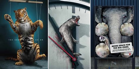 30 Shocking Animal Ad Campaigns That Will Make You Rethink Your ...