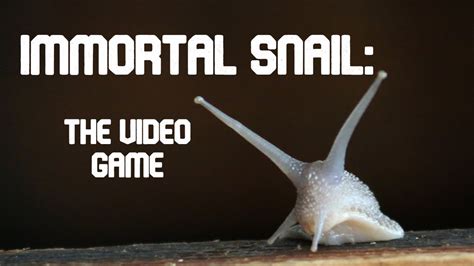 Immortal Snail: The Video Game (All Endings) - YouTube