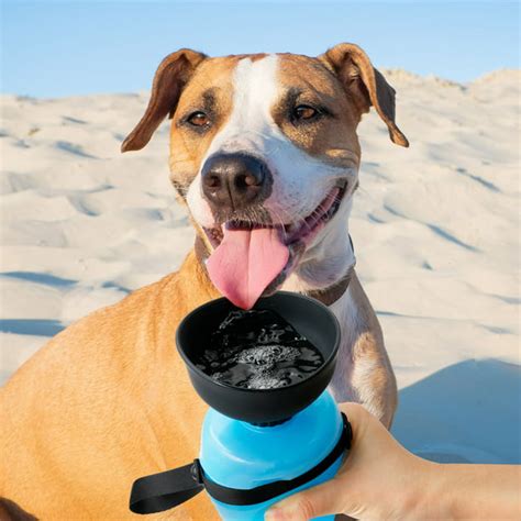 LANGRIA Portable 2 in 1 Dog Water Bottle, Foldable Pet Water Bottle ...