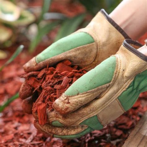 How Often Should You Remove and Replace Mulch? | Family Handyman