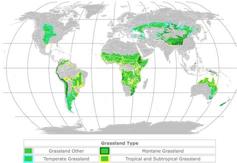 Temperate Grassland Biome Map