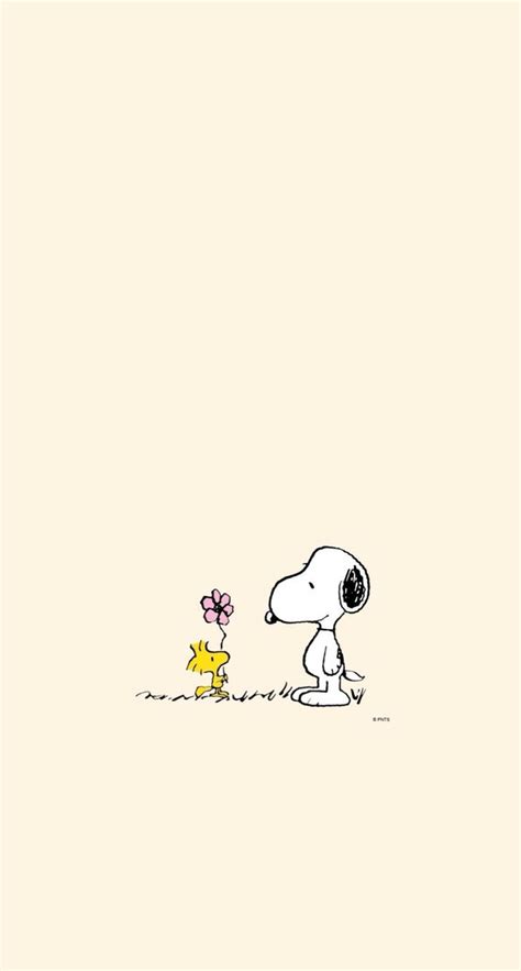 Snoopy Wallpapers - 4k, HD Snoopy Backgrounds on WallpaperBat