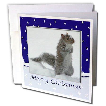 Squirrel Christmas Cards