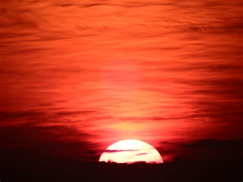 Bright Orange Sunset Sky Free Stock Photo - Public Domain Pictures