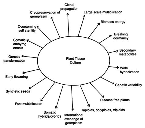 Biotechnological Applications of Plant Cell, Tissues & Organ Cultures