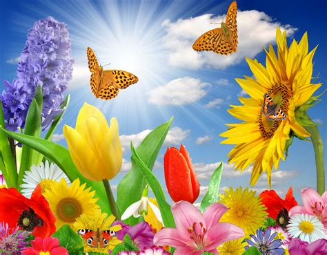 🔥 [50+] Spring Summer Desktop Wallpapers | WallpaperSafari