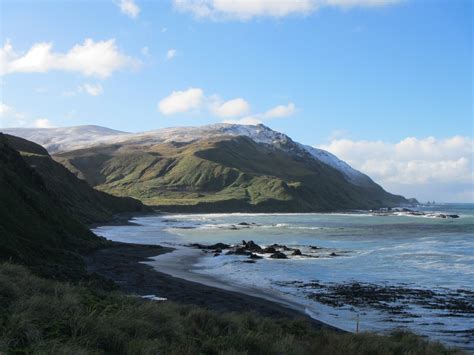 Macquarie Island – an adventure in pictures | Pulse news