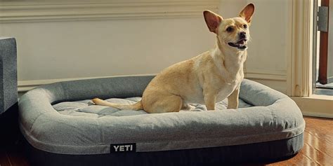 Premium Orthopedic Dog Beds | Bone Voyage Dog Rescue