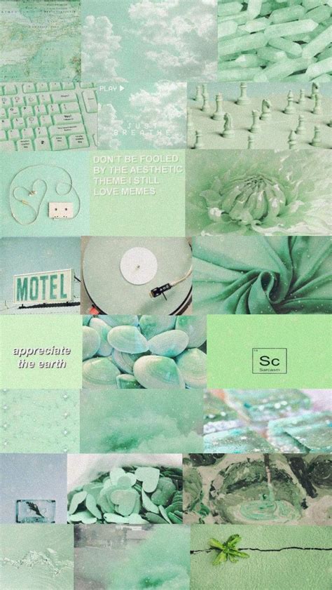 Pastel Green Aesthetic Profile Pictures - bmp-thevirtual