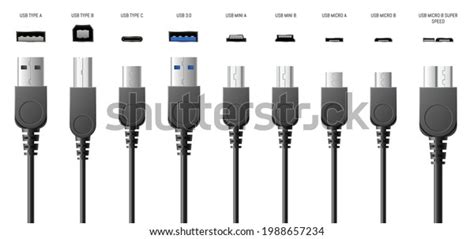 Standard Usb B Type C Plugs Stock Vector (Royalty Free) 1988657234 ...