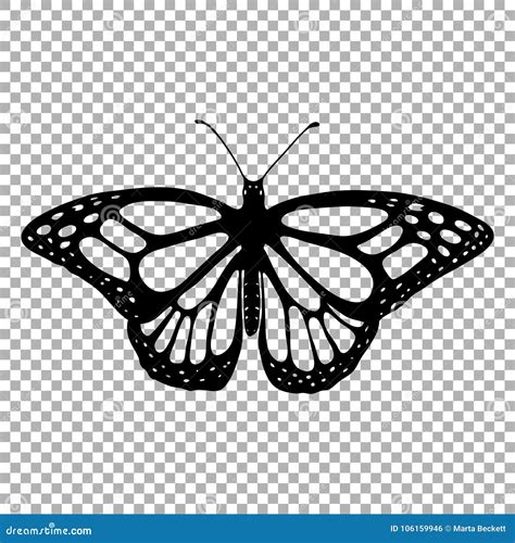 Vector Silhouette Of Butterfly Monarch | CartoonDealer.com #106159946