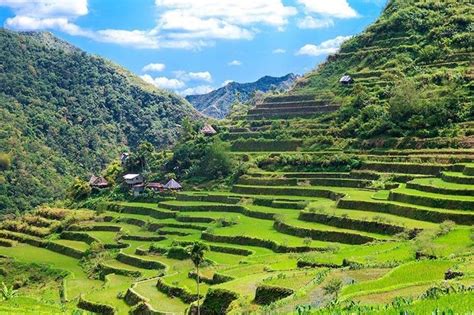 Chinese-built Banaue Rice Terraces? Lonely Planet under fire | Philstar.com