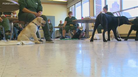 'Puppies Behind Bars' program gives inmates, dogs a new leash on life ...