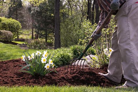 Tidy up landscaping - todofilo